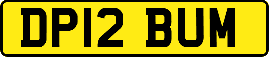 DP12BUM