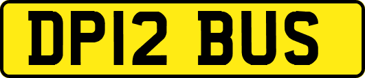 DP12BUS
