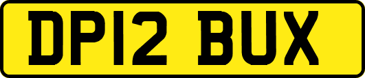 DP12BUX
