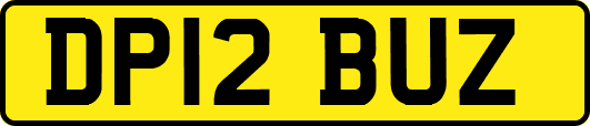 DP12BUZ