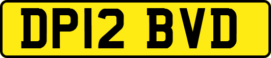 DP12BVD