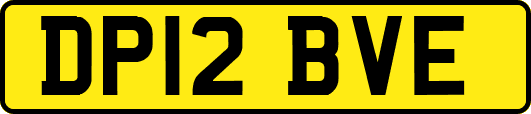 DP12BVE