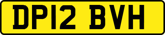 DP12BVH