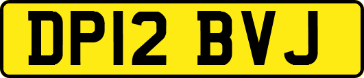DP12BVJ