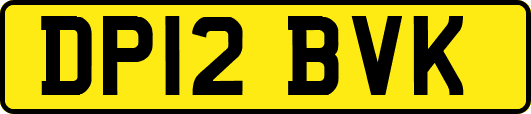 DP12BVK