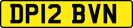 DP12BVN