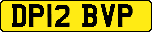 DP12BVP
