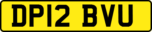 DP12BVU
