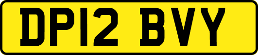DP12BVY