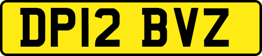 DP12BVZ
