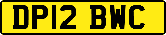 DP12BWC