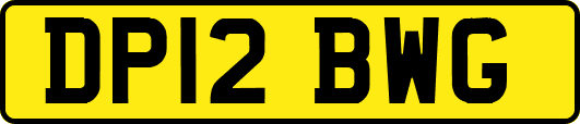 DP12BWG