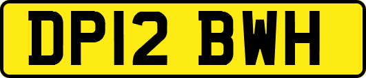 DP12BWH