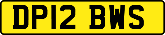 DP12BWS