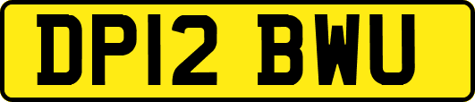DP12BWU