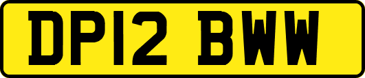 DP12BWW