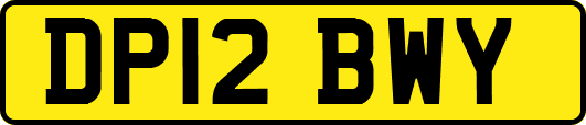 DP12BWY