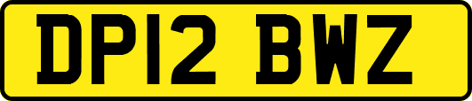 DP12BWZ