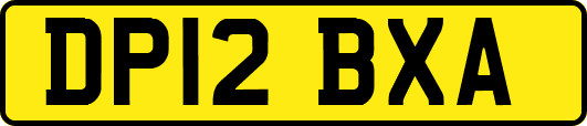 DP12BXA