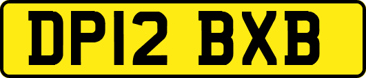 DP12BXB