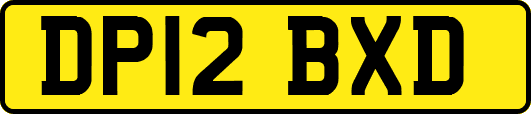 DP12BXD