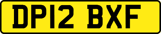 DP12BXF