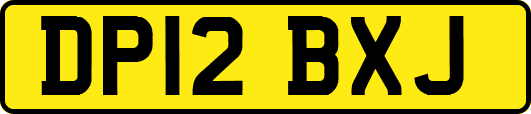 DP12BXJ