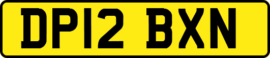 DP12BXN