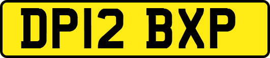 DP12BXP