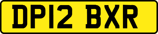 DP12BXR