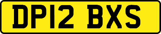 DP12BXS