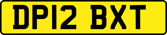 DP12BXT