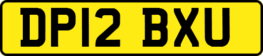 DP12BXU