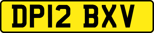 DP12BXV
