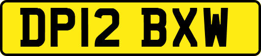 DP12BXW