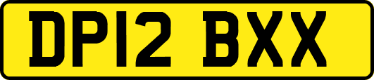 DP12BXX