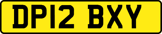 DP12BXY