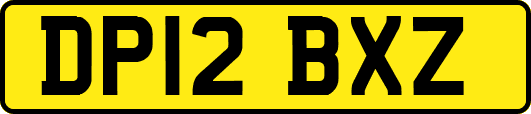 DP12BXZ