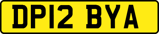 DP12BYA