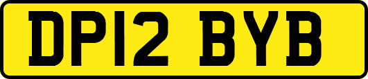 DP12BYB