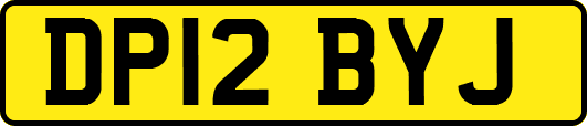 DP12BYJ