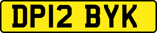 DP12BYK