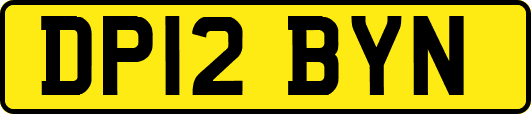 DP12BYN