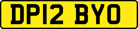 DP12BYO