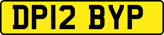 DP12BYP