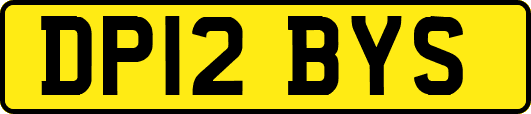 DP12BYS