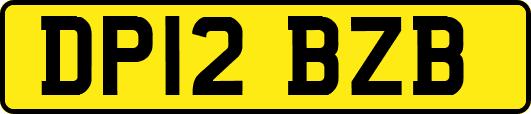 DP12BZB