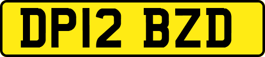 DP12BZD