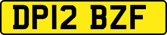 DP12BZF