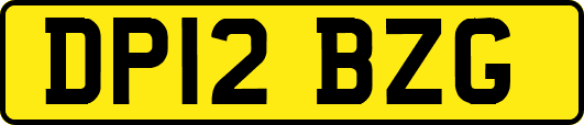 DP12BZG